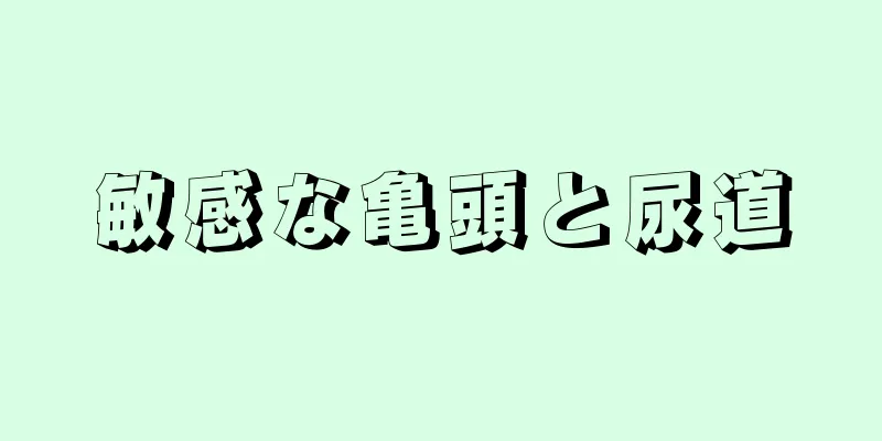 敏感な亀頭と尿道