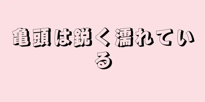 亀頭は鋭く濡れている