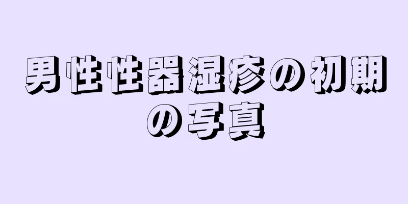 男性性器湿疹の初期の写真