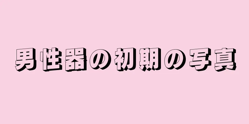 男性器の初期の写真