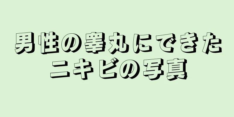 男性の睾丸にできたニキビの写真