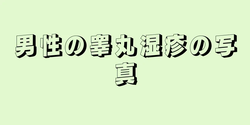 男性の睾丸湿疹の写真