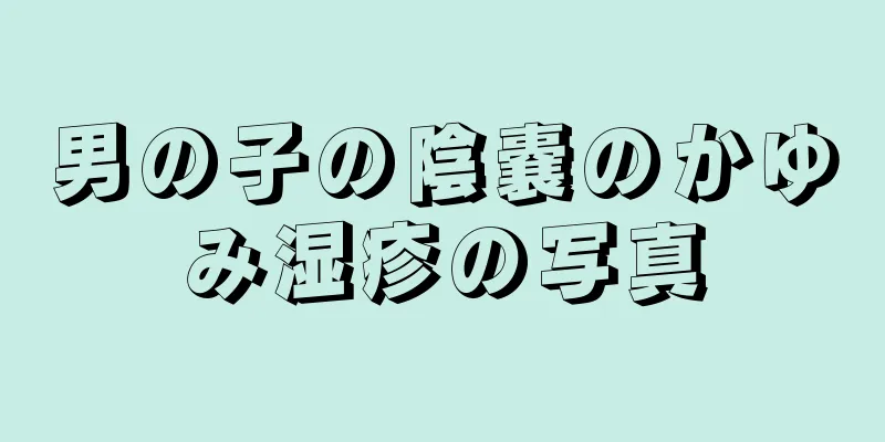 男の子の陰嚢のかゆみ湿疹の写真