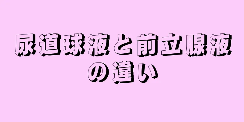 尿道球液と前立腺液の違い
