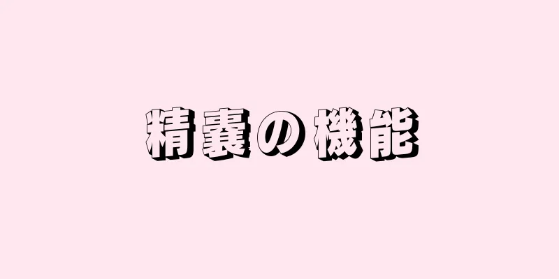 精嚢の機能