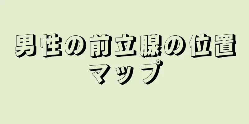 男性の前立腺の位置マップ
