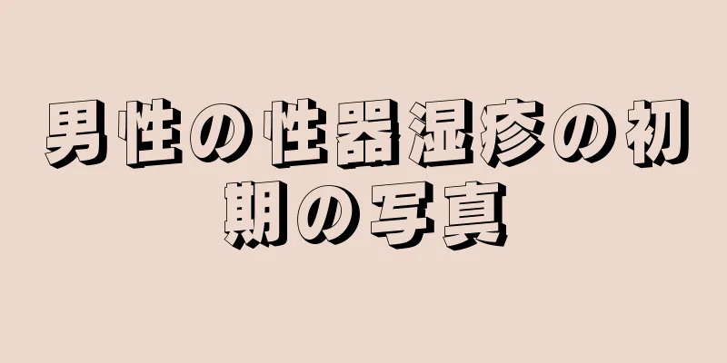 男性の性器湿疹の初期の写真