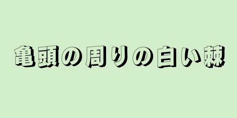亀頭の周りの白い棘