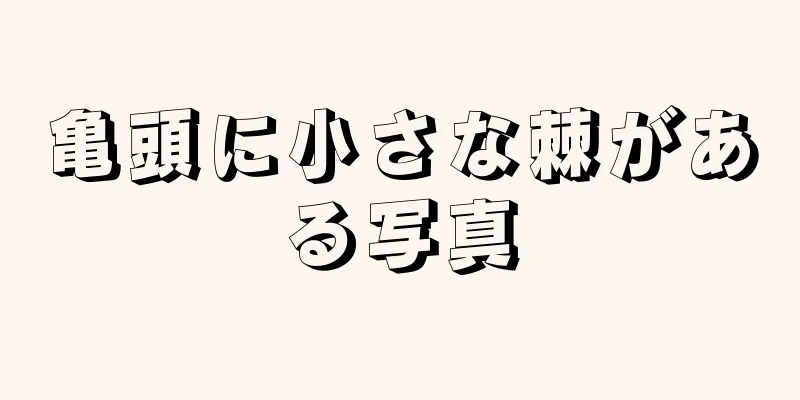 亀頭に小さな棘がある写真
