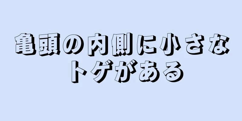 亀頭の内側に小さなトゲがある