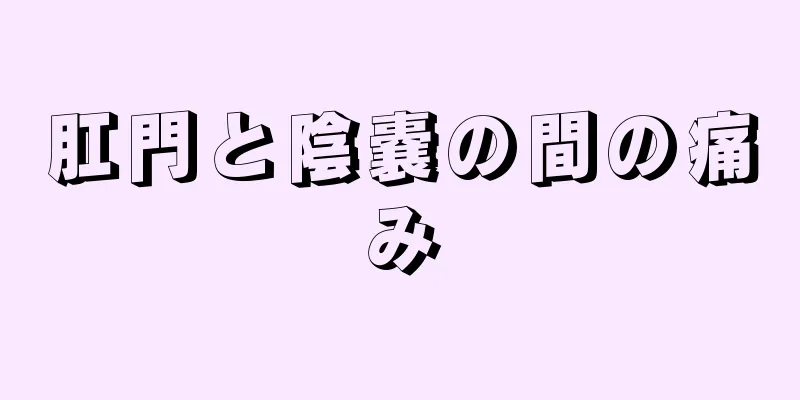 肛門と陰嚢の間の痛み