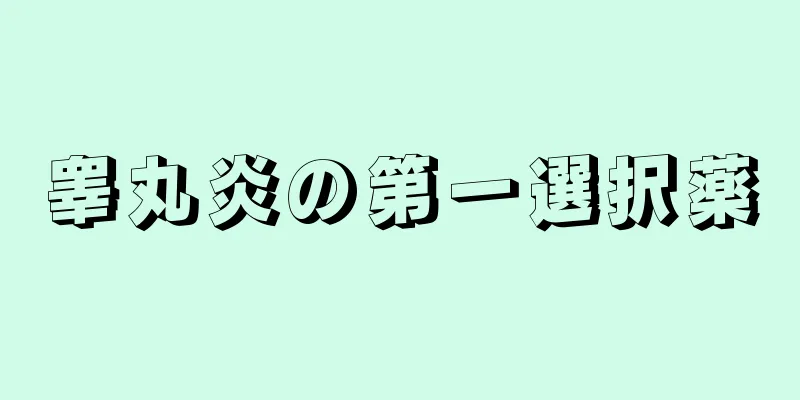 睾丸炎の第一選択薬