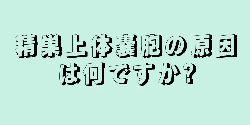精巣上体嚢胞の原因は何ですか?