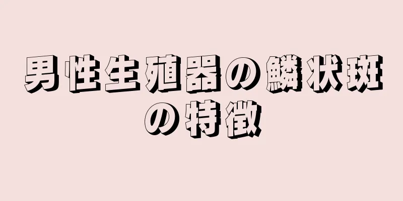 男性生殖器の鱗状斑の特徴