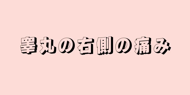 睾丸の右側の痛み
