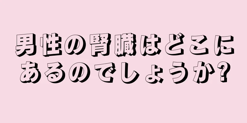 男性の腎臓はどこにあるのでしょうか?
