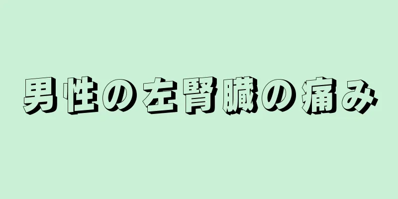 男性の左腎臓の痛み