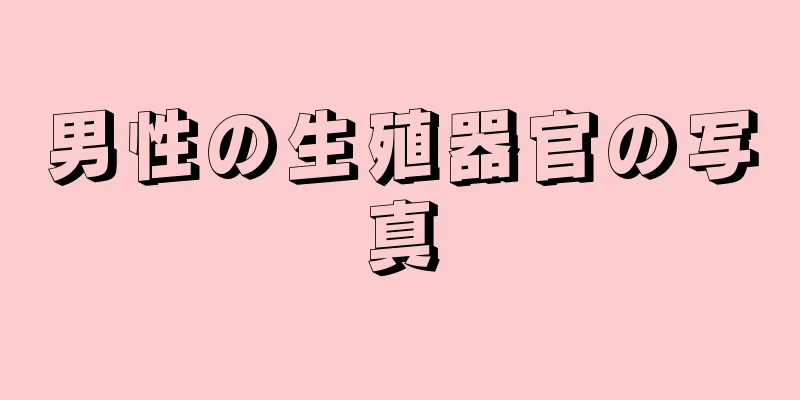 男性の生殖器官の写真