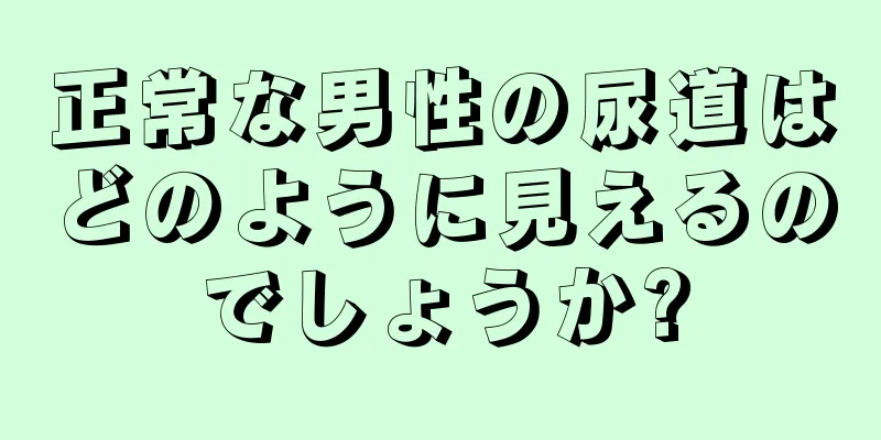 正常な男性の尿道はどのように見えるのでしょうか?