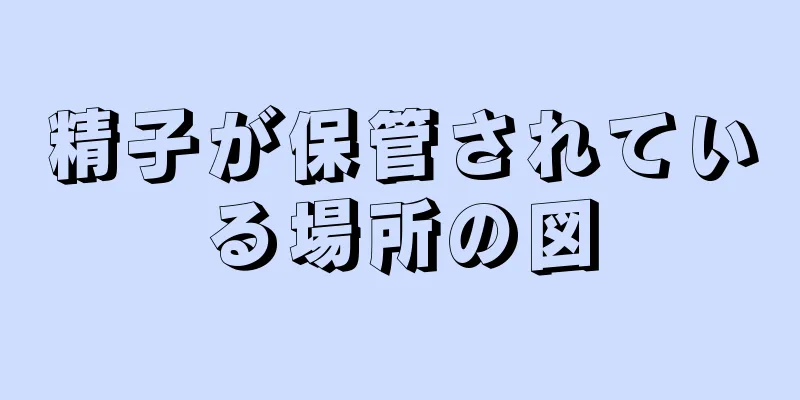 精子が保管されている場所の図