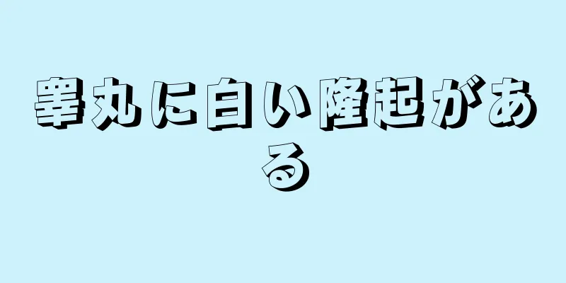 睾丸に白い隆起がある
