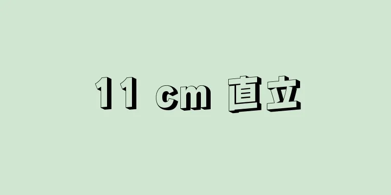 11 cm 直立
