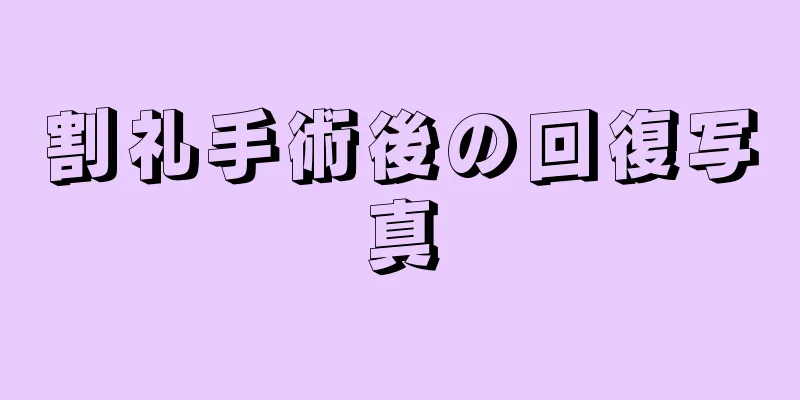 割礼手術後の回復写真