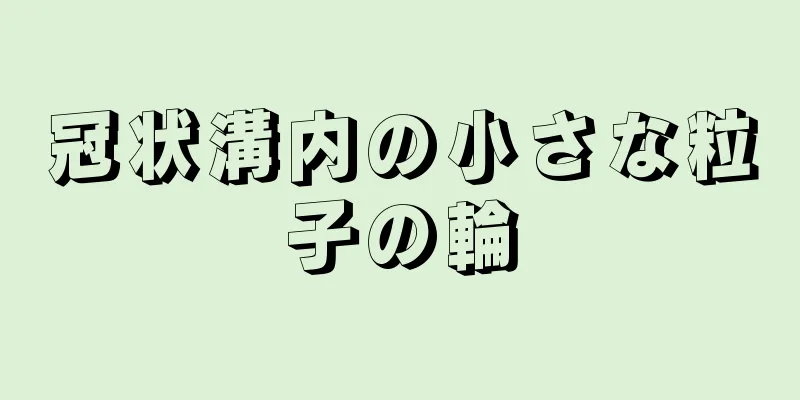 冠状溝内の小さな粒子の輪