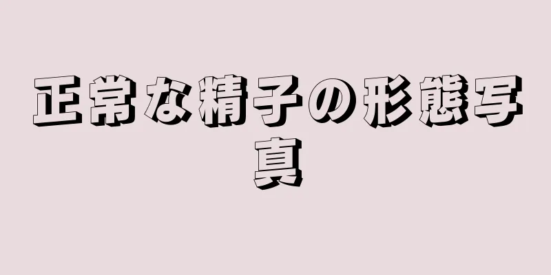 正常な精子の形態写真