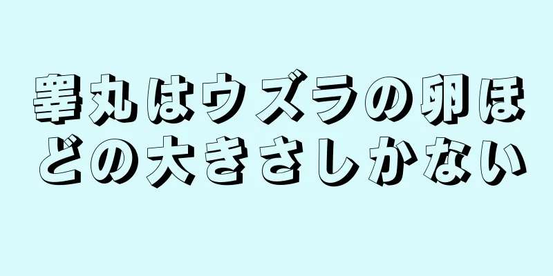 睾丸はウズラの卵ほどの大きさしかない