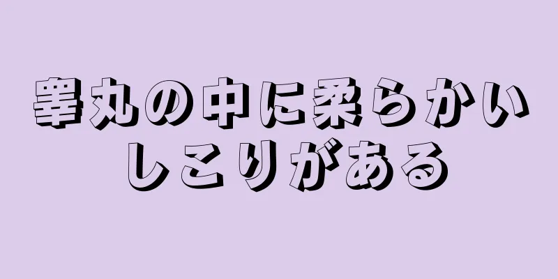 睾丸の中に柔らかいしこりがある