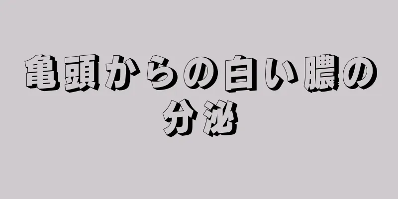 亀頭からの白い膿の分泌