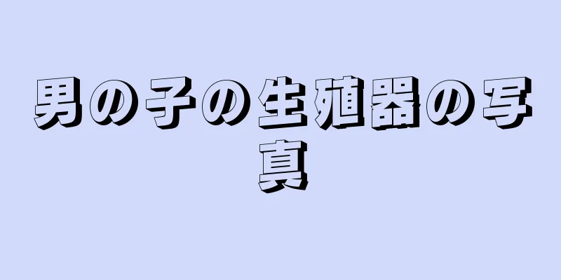 男の子の生殖器の写真