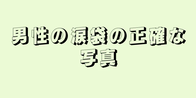 男性の涙袋の正確な写真