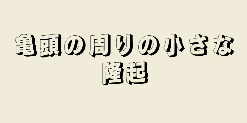 亀頭の周りの小さな隆起