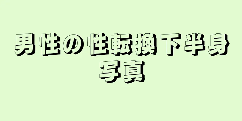 男性の性転換下半身写真