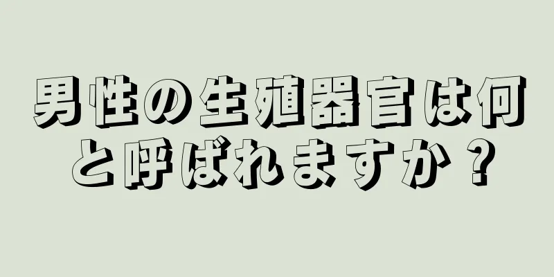 男性の生殖器官は何と呼ばれますか？