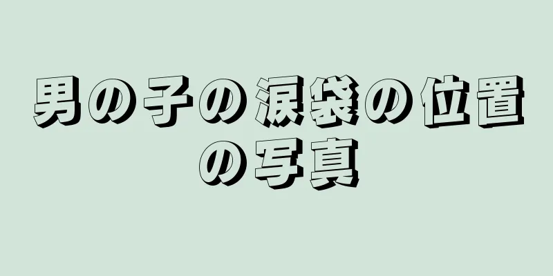 男の子の涙袋の位置の写真