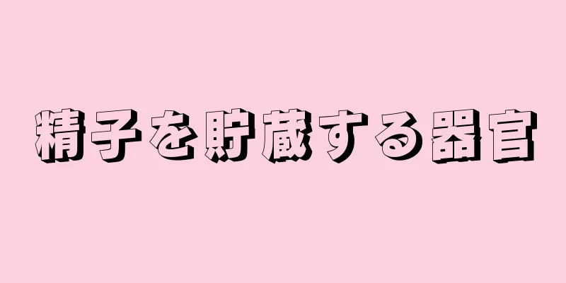 精子を貯蔵する器官
