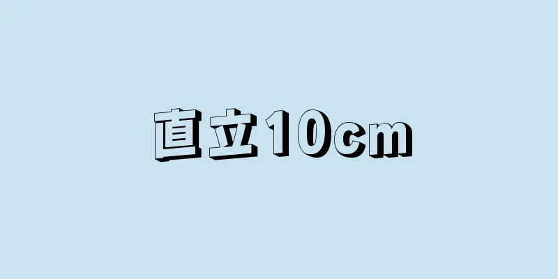 直立10cm