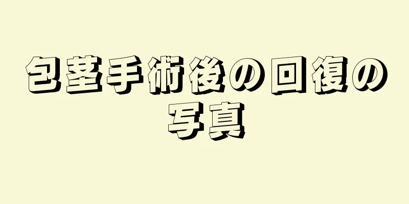 包茎手術後の回復の写真