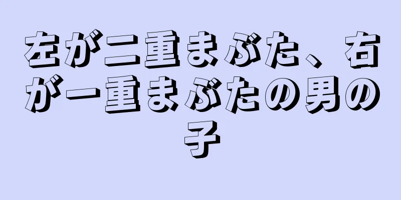左が二重まぶた、右が一重まぶたの男の子