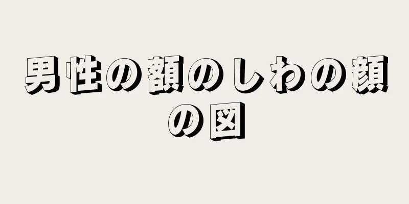 男性の額のしわの顔の図