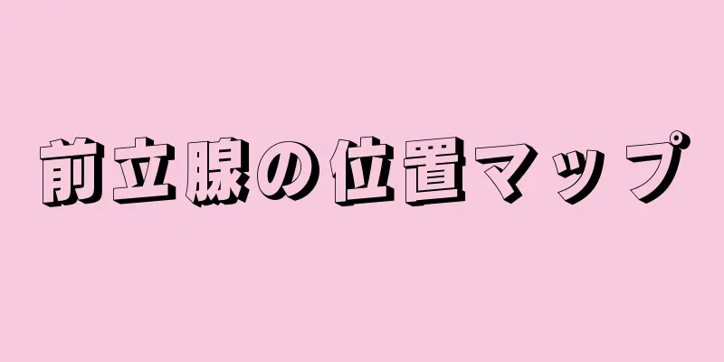前立腺の位置マップ