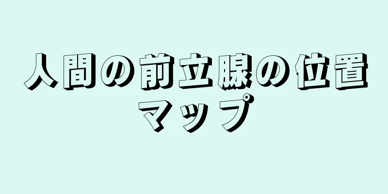 人間の前立腺の位置マップ
