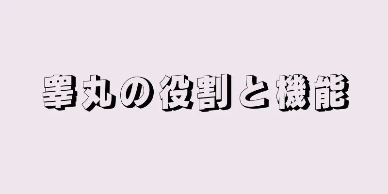 睾丸の役割と機能