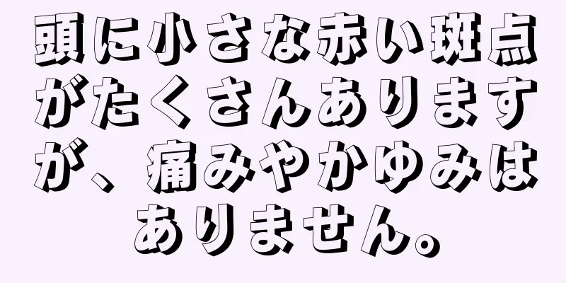 頭に小さな赤い斑点がたくさんありますが、痛みやかゆみはありません。