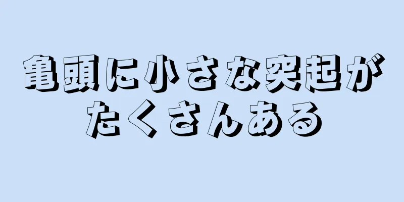 亀頭に小さな突起がたくさんある