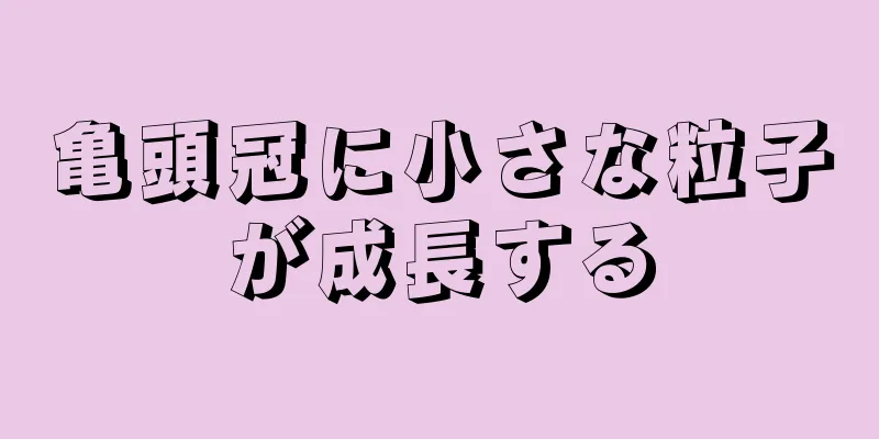 亀頭冠に小さな粒子が成長する