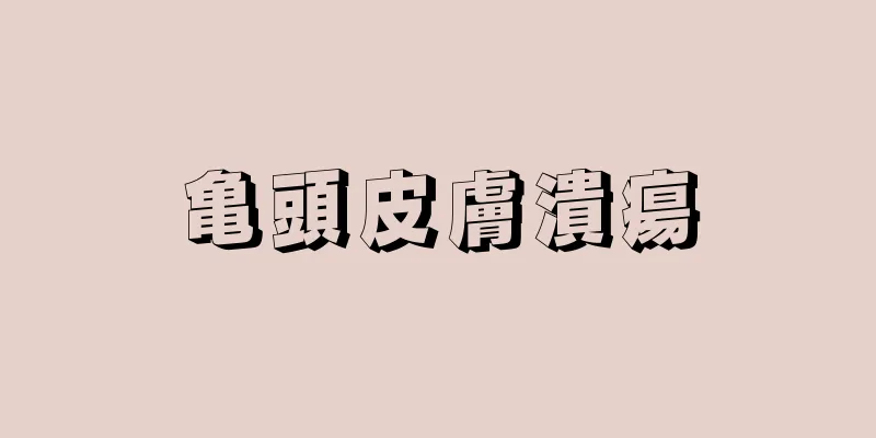 亀頭皮膚潰瘍